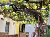 Hotel Rural Vilaflor Self Check in 24h Hoteles en Vilaflor