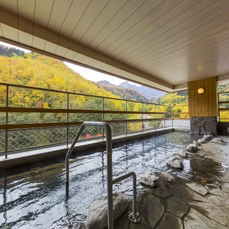 Hotel Taisetsu Onsen&Canyon Resort