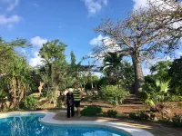 Tradewinds Lodge - Havudsigt