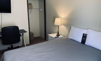 Ellipse Global Lodge