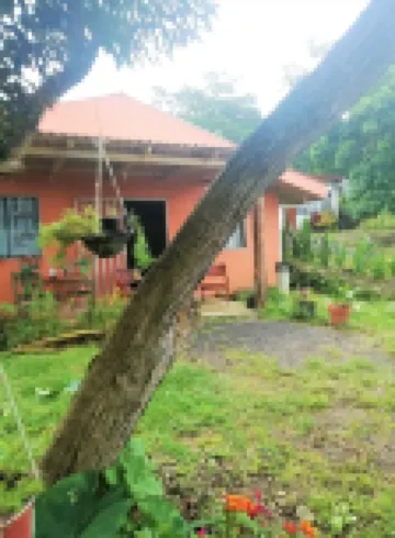 Casa Morella