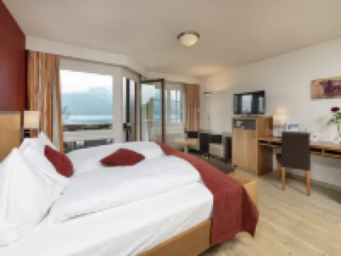 See & Wellnesshotel Gerbi Hotels in Weggis