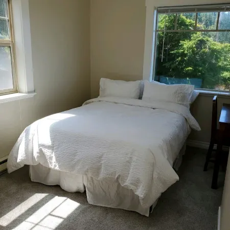 The Sun House at Freshwater Bay: Oceanfront