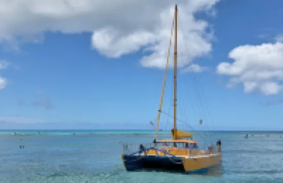 Palms at Waikiki 219