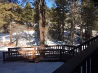 Custombuilt, Stylish Hillside 2-Bdrm Home.Views,Pines, Privacy, 3 Miles to Town.