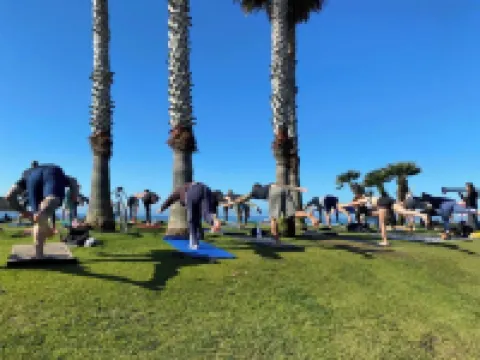 Soothing Ocean Sounds, Beach Views, Floor-to-Ceiling Windows: True Beach Therapy