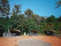 Bulls Camp Hotels in Narusawa