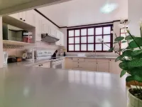 사바나 스튜디오
