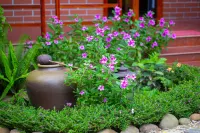 Viet Xua Homestay Hotels in Ninh Tiến
