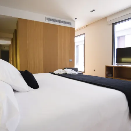 Blu Hotel Almansa Hotels in Albacete