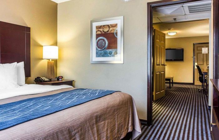 Comfort Inn & Suites Ballpark Area