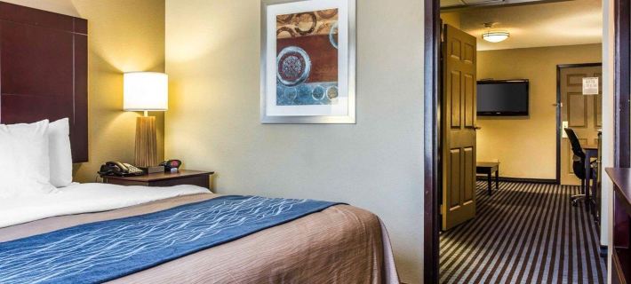 Comfort Inn & Suites Ballpark Area Hoteles en Condado de Cobb
