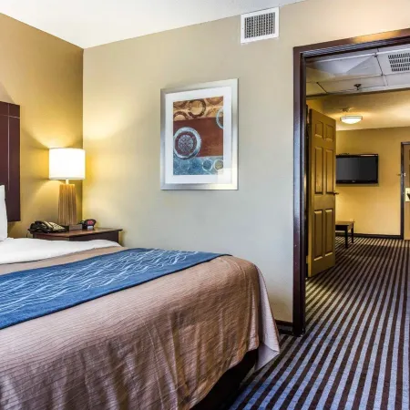 Comfort Inn & Suites Ballpark Area