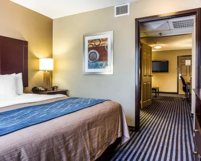 Comfort Inn & Suites Ballpark Area فنادق في سميرنا