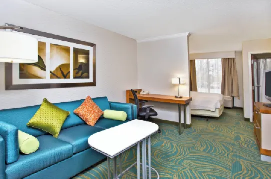 SpringHill Suites by Marriott Chicago Southwest at Burr Ridge/Hinsdale
