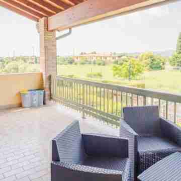 The House in the Vineyard - Italian Homing Others