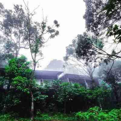 Wayanad Wild - A CGH Earth Experience Hotel Exterior