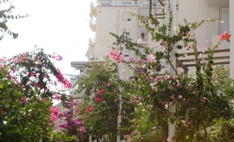 Bougainville Bay Hotel