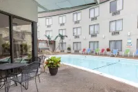 Lamplighter Inn-South - piscina