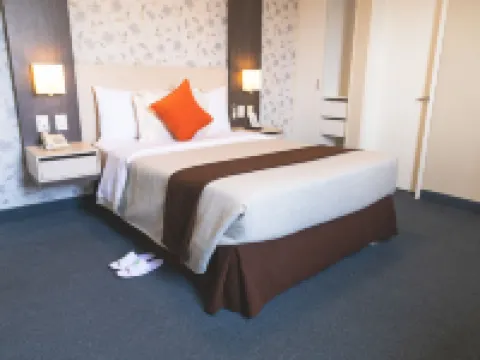 聖米格爾帕爾梅託商務酒店 聖米格爾酒店