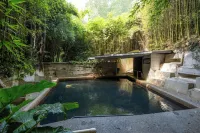 Opal Hot Springs & Holiday Park Hotels in Matamata