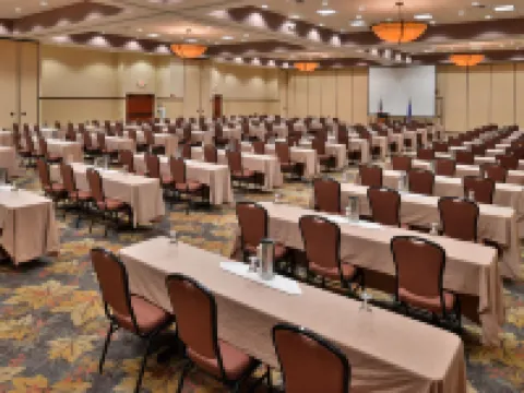 Holiday Inn STEVENS POINT - CONVENTION CTR by IHG Hotels in Stevens Point
