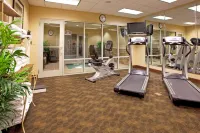 Holiday Inn Express & Suites COLUMBUS AT NORTHLAKE by IHG - Gym