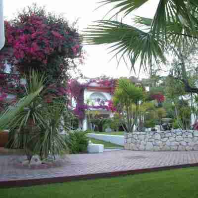 AH Premium Baia dei Faraglioni Hotel Exterior