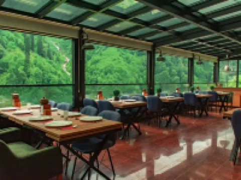 Ayder Villa de Pelit Hotel Hotels in Camlihemsin