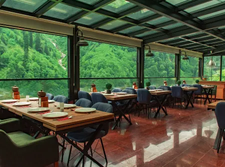 Ayder Villa de Pelit Hotel Отели в г. Yukarisimsirli Koyu