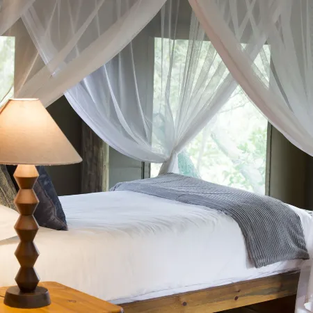 Honeyguide Ranger Camp