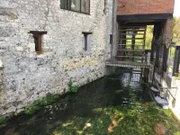 Le Moulin de la côte Chambre d'hôtes Hotels in Saint-Vigor