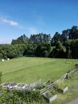 Purple Hen Country Lodge Hotels in Athenree