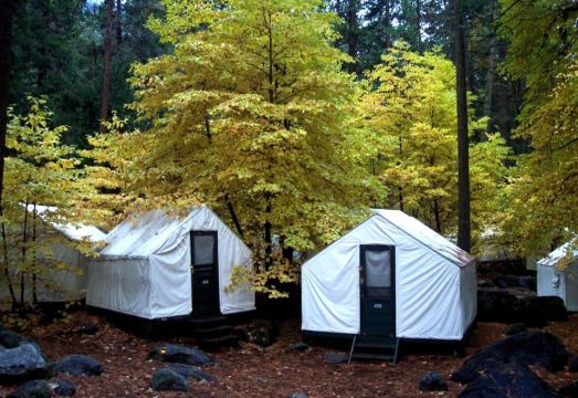 2. 커리 빌리지..