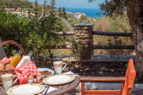 Mainades Maisonettes & Studios - Andros Serene Escape - ペット同伴可