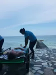 Oslob Seafari Resort - spa