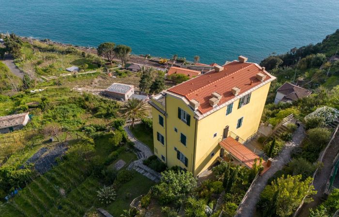 La Coccinelle - Superb Views