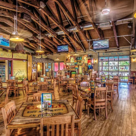 Margaritaville Vacation Club - St Thomas