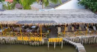 Homestay Songngu Pisces Hotels near Thanh An catholic church