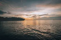 Saboga Lodge and Villa Noelia Hotels in Contadora