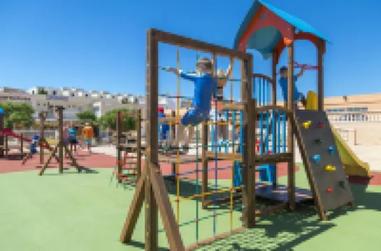 Comitas Isla del Aire