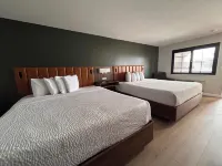 SureStay by Best Western Morgan Hill Hotels in San Martin