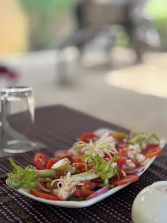 Dera Jawai Отели рядом с достопримечательностью «Riva Stays & Trails»