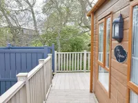 Host & Stay - Butterfly Lodge Hotels in Thirston