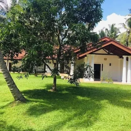 Coco Villa Peach Tree