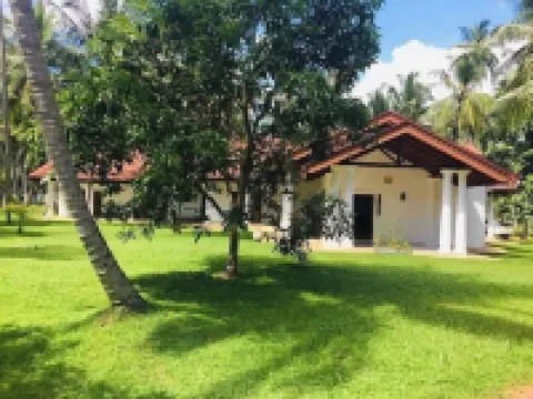 Coco Villa Peach Tree