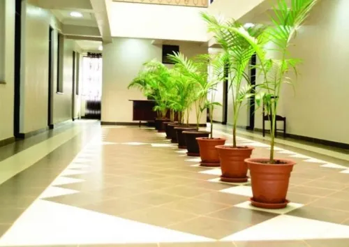 Afrique Hotel Hotels in Busia