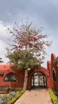 Tuya Hotel Hotel di Abu Simbel