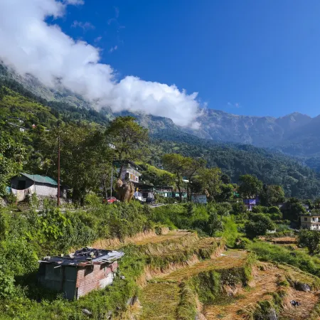 Shiva Homestay