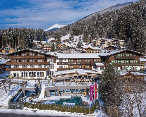 Baumhaus by Hotel Gassner Hotels in Neukirchen am Grossvenediger